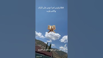 القرآن الكريم #اكسبلور #النظافه #المصحف #تيك_توك #دويتو #الرسوم #لايك #ترند #المراره