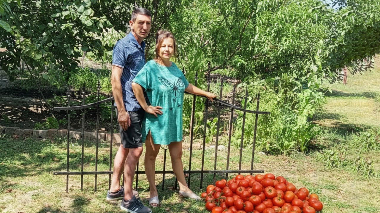 Как монтираме металните пана на оградата и какво още свършихме на село? Лято на село 2025 Част 2