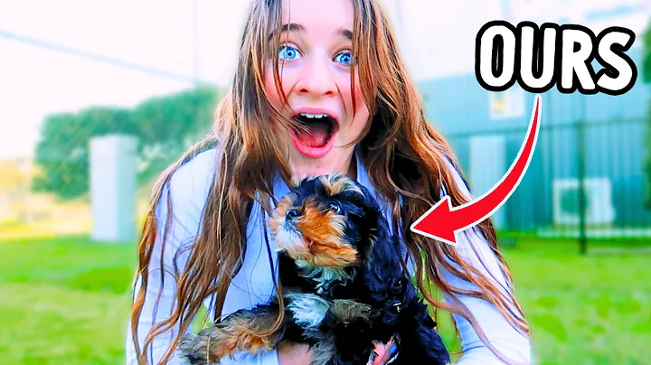SURPRISING HER WITH THE BEST PUPPY BREED FOR KIDS  *emotional* w/Norris Nuts