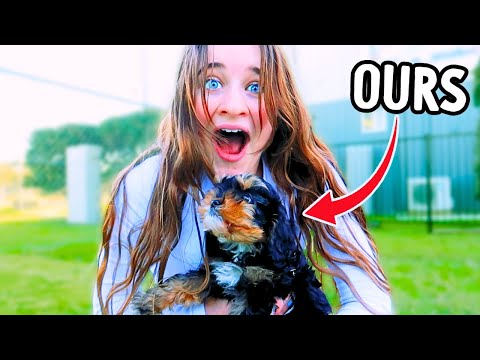 SURPRISING HER WITH THE BEST PUPPY BREED FOR KIDS  *emotional* w/Norris Nuts