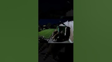 🦝😹 Curious Raccoons Exploring Backyard Trash Bins | Funny AI Wildlife Moment