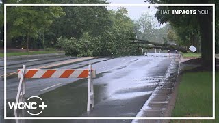 Tree blocks busy Charlotte road