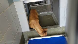 acs A689969