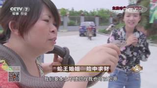 20170606 致富经  “蛇王姐姐”险中求财