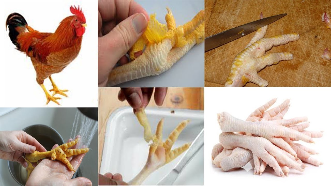 Murgi Ke Panje Saaf Karne Ka Tarika How to Clean Chicken Feet