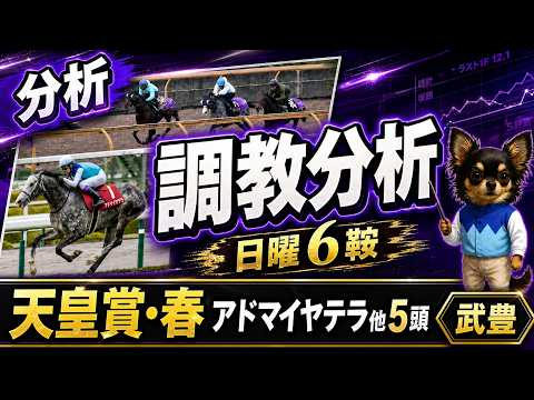 【武豊】5/3 京都6鞍 天皇賞・春アドマイヤテラを含めた6頭の調教分析！