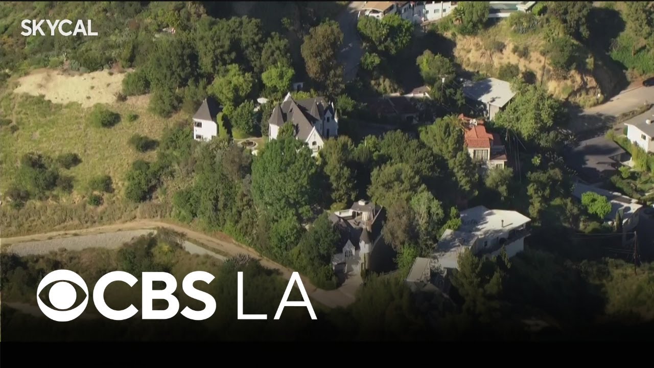 Wolf's Lair | Look At This! - YouTube
