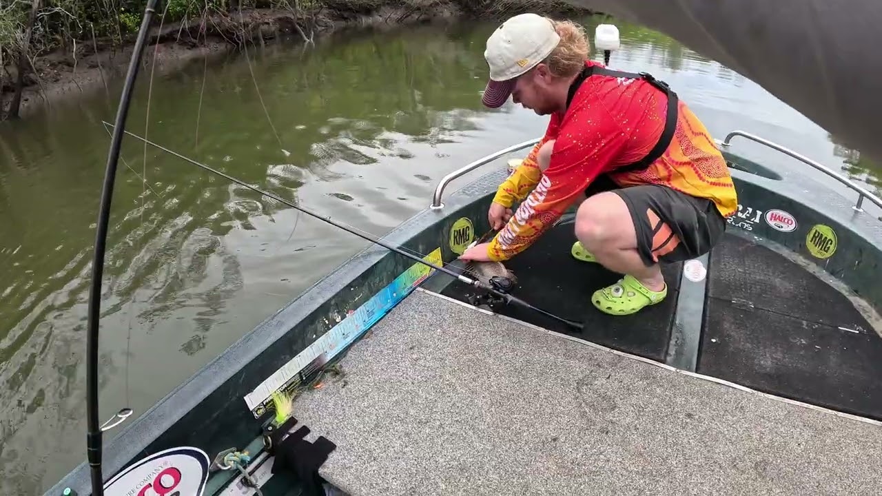 На поверхности воды водятся мангровые окуни. Альманах снова ошибается.