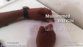 Muhammed Dalgin - Yar Yar Dilo Yeni̇ Kli̇p 2019