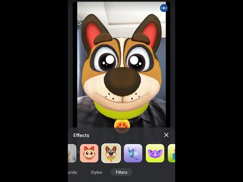 Video How to Apply an Animal Face on Google Meet - youtube