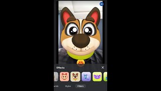 كيفية وضع فلاتر وجوه الحيوانات في Google Meet screenshot 5