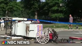 Horse carriage tragedy in NYC’s Central Park