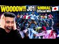 JO1 | 'ANIMAL' Official MV | REACTION