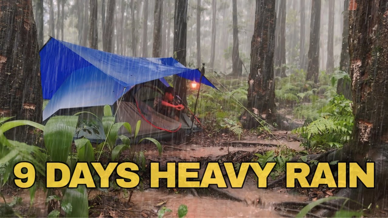 9 Days Heavy Rain‼️ SUPER VERY LONG Heavy Rain with Thunderstorm‼️ ASMR