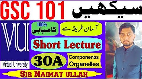 GSC101 Short Lecture 30A|Short Lecture 30|Cellular Component|Organelles|Virtual University|VU.
