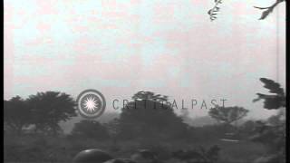US 4th Division, 8th Infantry, 3rd Battalion soldiers and tanks attack enemy posi...HD Stock Footage