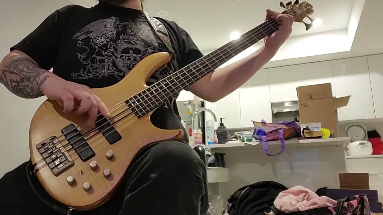 Death - Pull The Plug Bass Cover