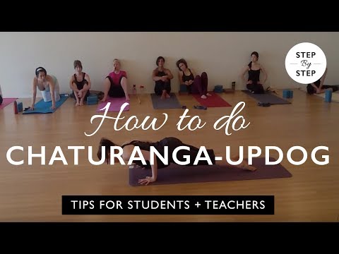 Anatomy of Chaturanga Flow Part 2  Yoga techniques, Yoga anatomy, Vinyasa  yoga