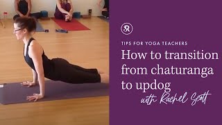 How to Transition from Chaturanga to Upward Dog ~ Yoga Teaching Tips with Rachel