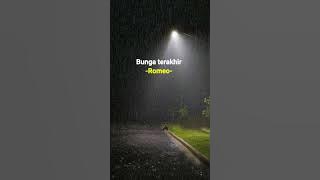 bunga terakhir romeo, speed up reverb underwater