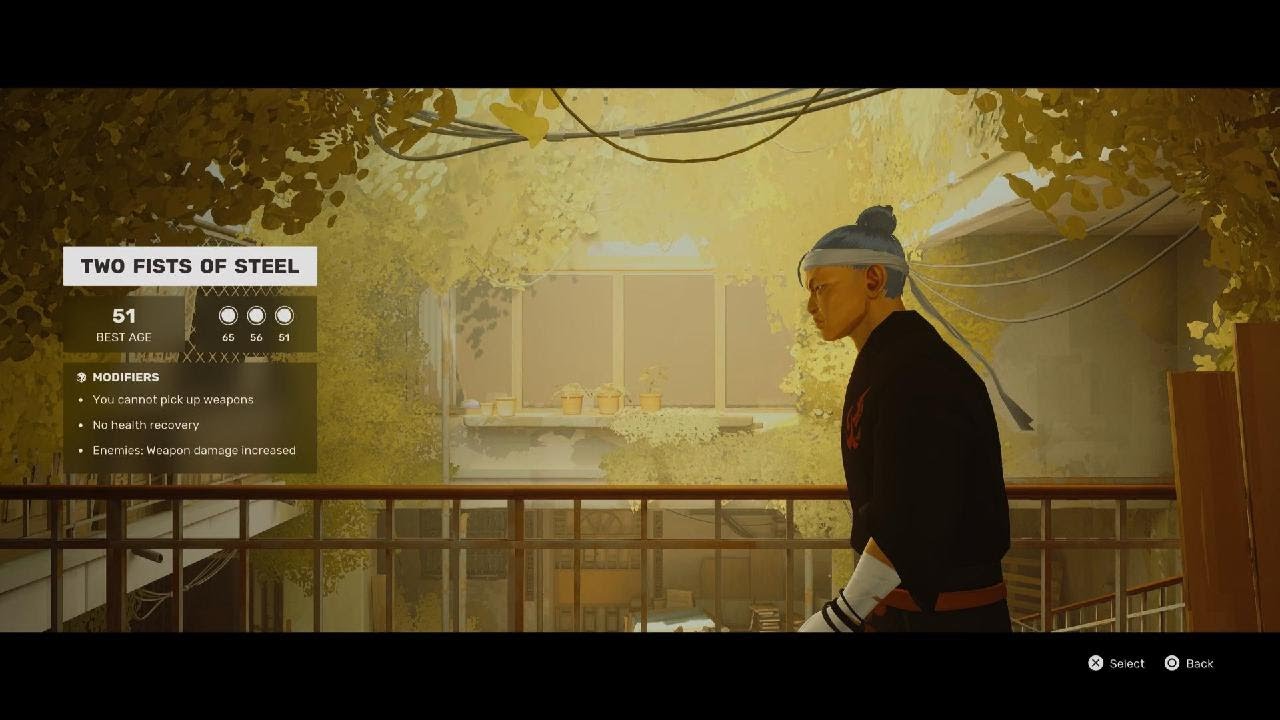 Sifu Fists of Steel No Hit Perfect Run