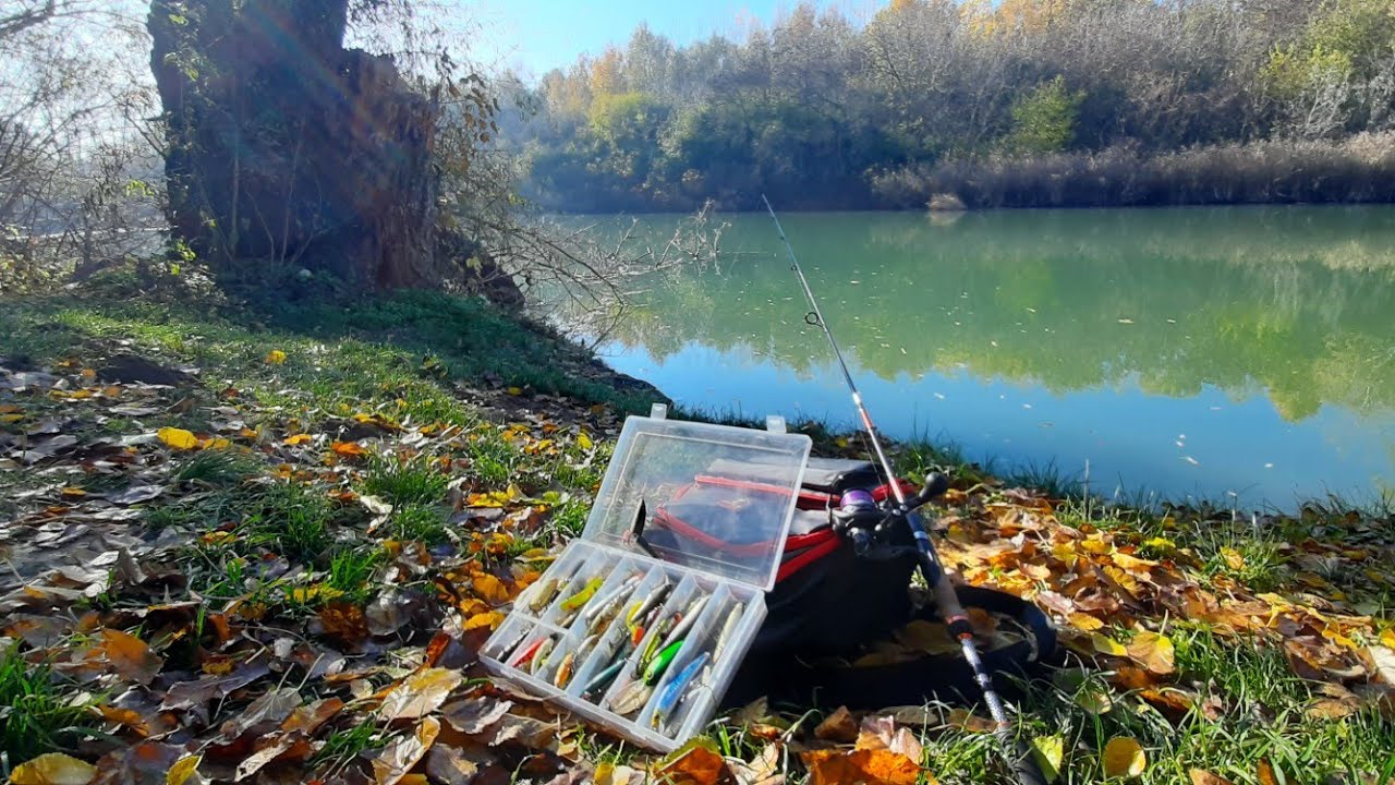 Német-zugi holtág peca , Gyomaendrőd