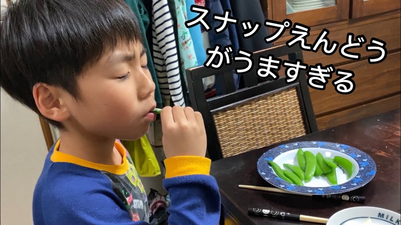 スナップえんどうがうますぎる スナップエンドウの収穫 Youtube スナップえんどうがうますぎる スナップエンドウの収穫 Youtube
