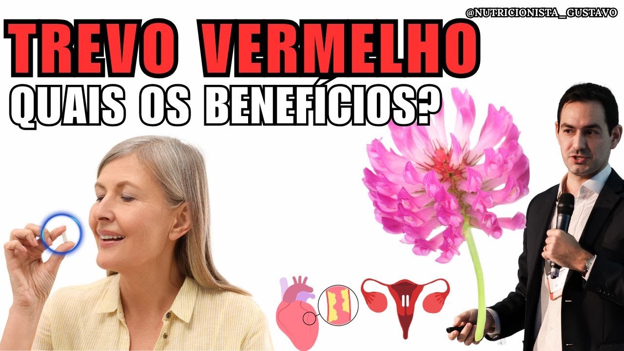 TREVO VERMELHO: QUAIS OS BENEFÍCIOS? menopausa e colesterol 