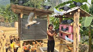The Journey Of A Young Female Officer After Leaving The Military Building A Farm In The Forest