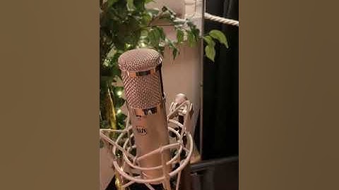 Recording Studio Tour - Mic Hunt Part 2!