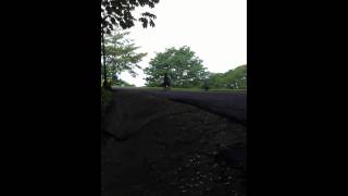 Famous Niels Houweling down hill longboarding Profile