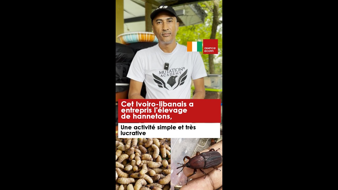 Cet ivoiro-libanais a entrepris l'élevage de hannetons, une activité simple et très lucrative 🇨🇮🇱🇧💰
