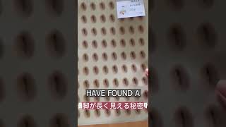 Chinese Girls Use Fake Belly Ons