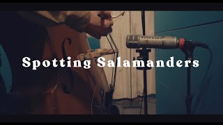 Little North - Spotting Salamanders (Official Video)