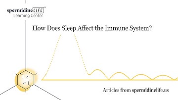 Effect of Sleep On Immune System | How Does Sleep Affect the Immune System? |