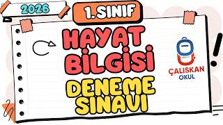 1. Sınıf Hayat Bilgisi Genel Deneme Sınavı 2026
