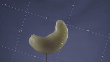 Cashew rotating with loop on blue screen for chroma key