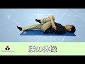 腰の体操(腰痛を予防するための運動メニュー)