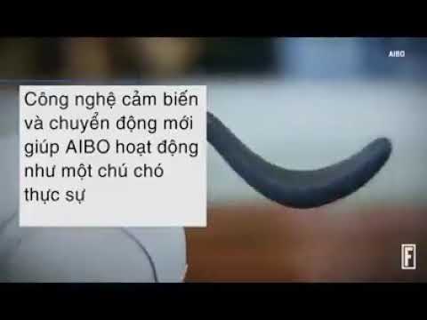 Bạn có biết chú chó thông minh AIBO? - FPT Aptech