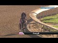 Farrell breezes 4.26