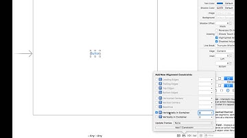 [Silent iOS 006-01] How to use Auto Layout Align 1