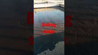 ظاهره انتفاخ الحمأه bulking sludge محطات معالجه مياه الصرف الصحي الخام