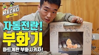 40만원짜리 최고급 병아리 부화기 만들기/자동전란 부화기 만드는 방법!/집에서 병아리 부화시키기/자연인/시골라이프/부화기/알콤 /병아리/치킨/마초맨