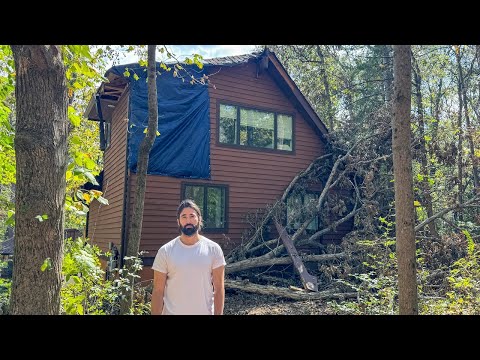 It's Been 1 Year Since Hurricane Helene... Time For An Update!