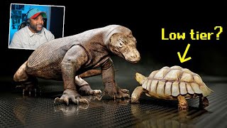 The Reptile Tier List