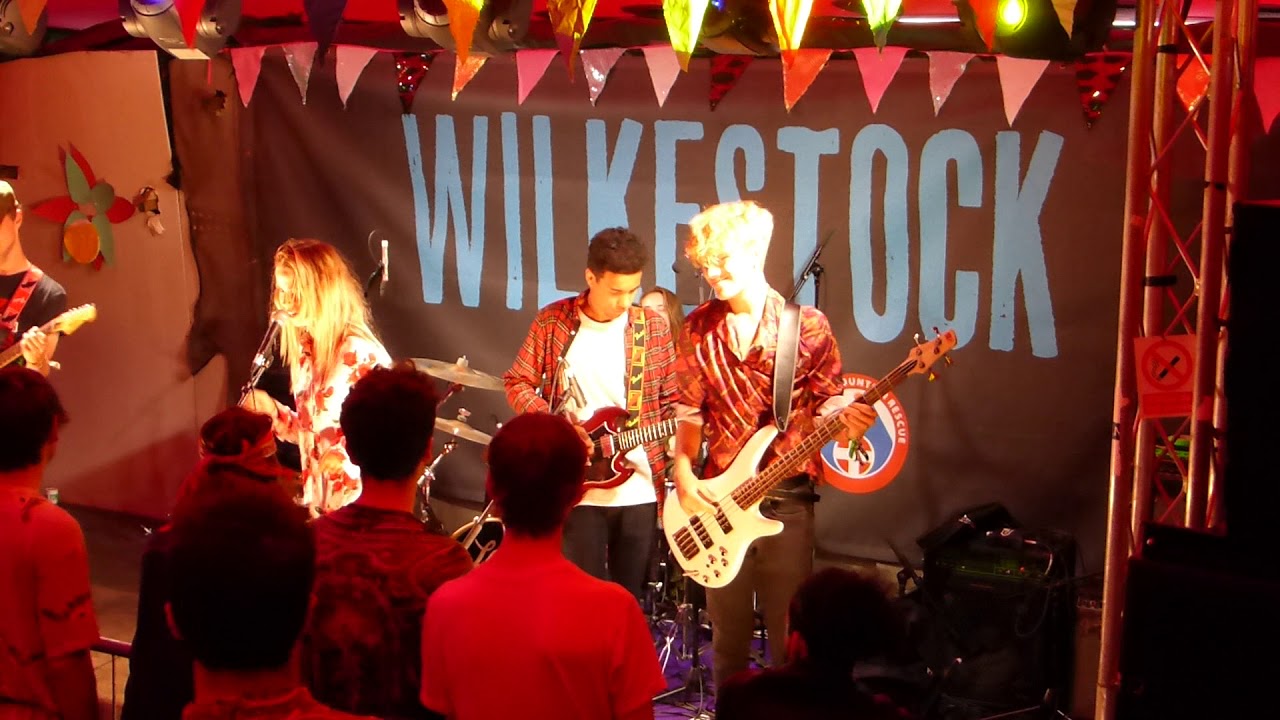 Written in Ink - Mushroom Tree Live at Wilkestock Festival 2017