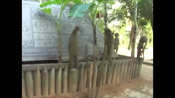 Nhà mồ của người Gia-rai