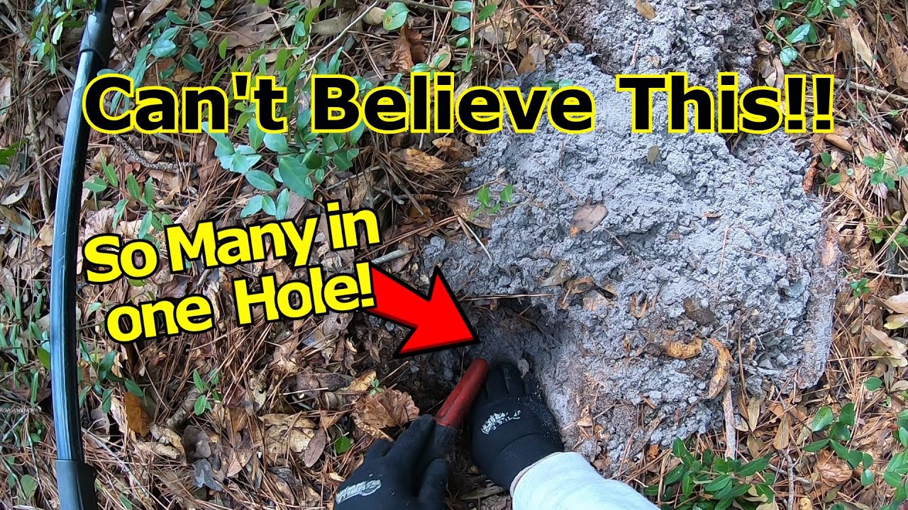 Can't Believe this what found Metal Detecting - YouTube