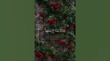 هُوَ الَّذِي أَنزَلَ السَّكِينَةَ فِي قُلُوبِ الْمُؤْمِنِين...} #سورة_الفتح #أحمد_العجمي