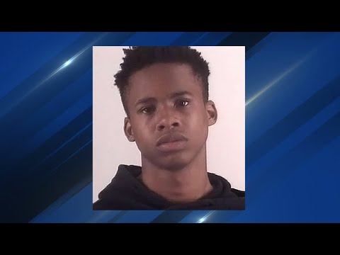 tay k 3d model tay k 3d model